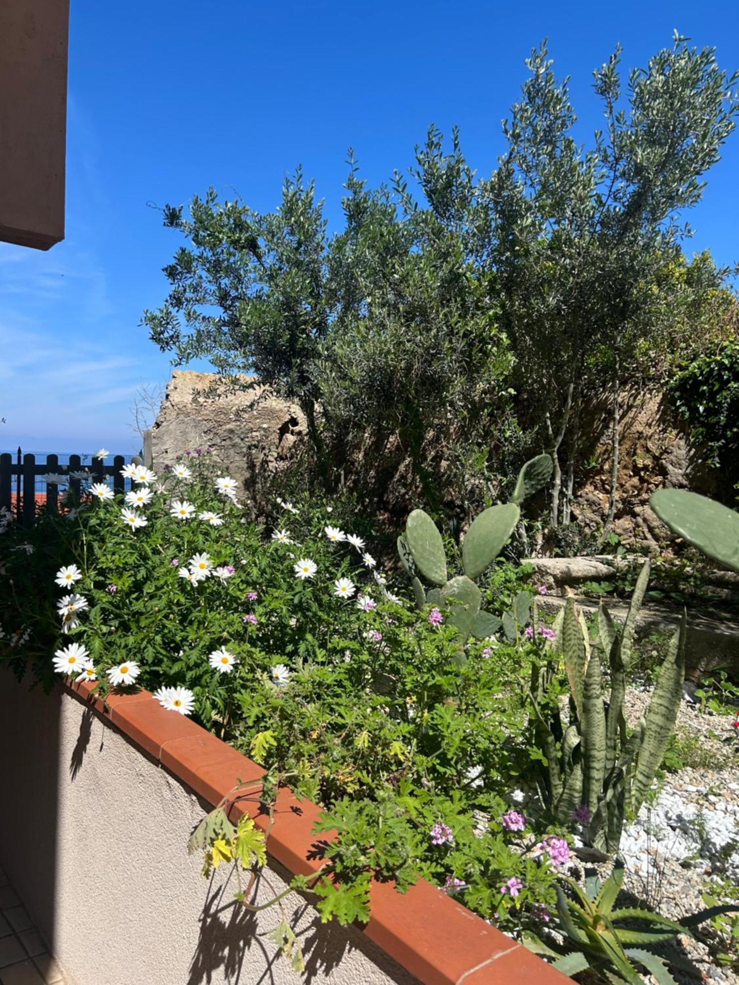 Arcobaleno Tropea Centro Bed & Breakfast Luaran gambar